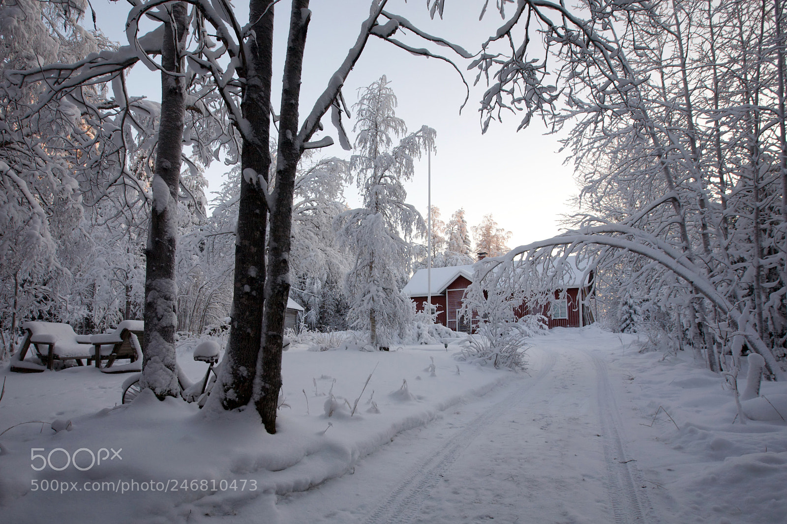 Canon EOS 5D sample photo. Our winter place photography