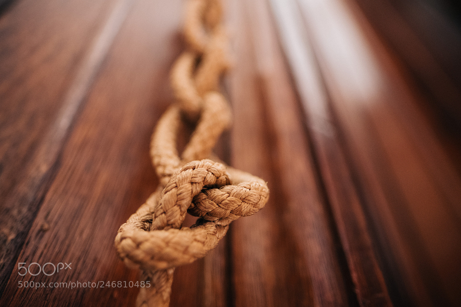 Fujifilm X-T2 sample photo. Cordial photography
