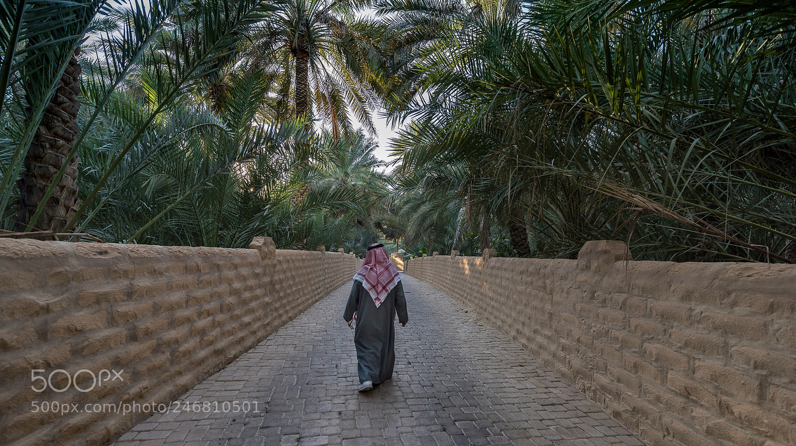 Nikon D810 sample photo. Don t forget the photography