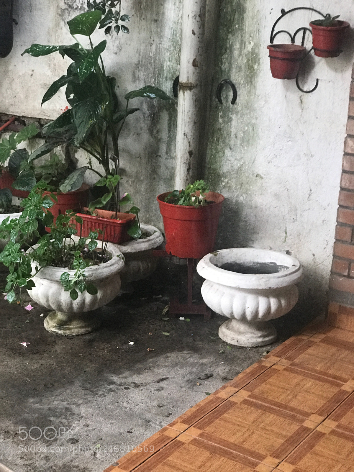 Apple iPhone 7 Plus sample photo. Untitled photography
