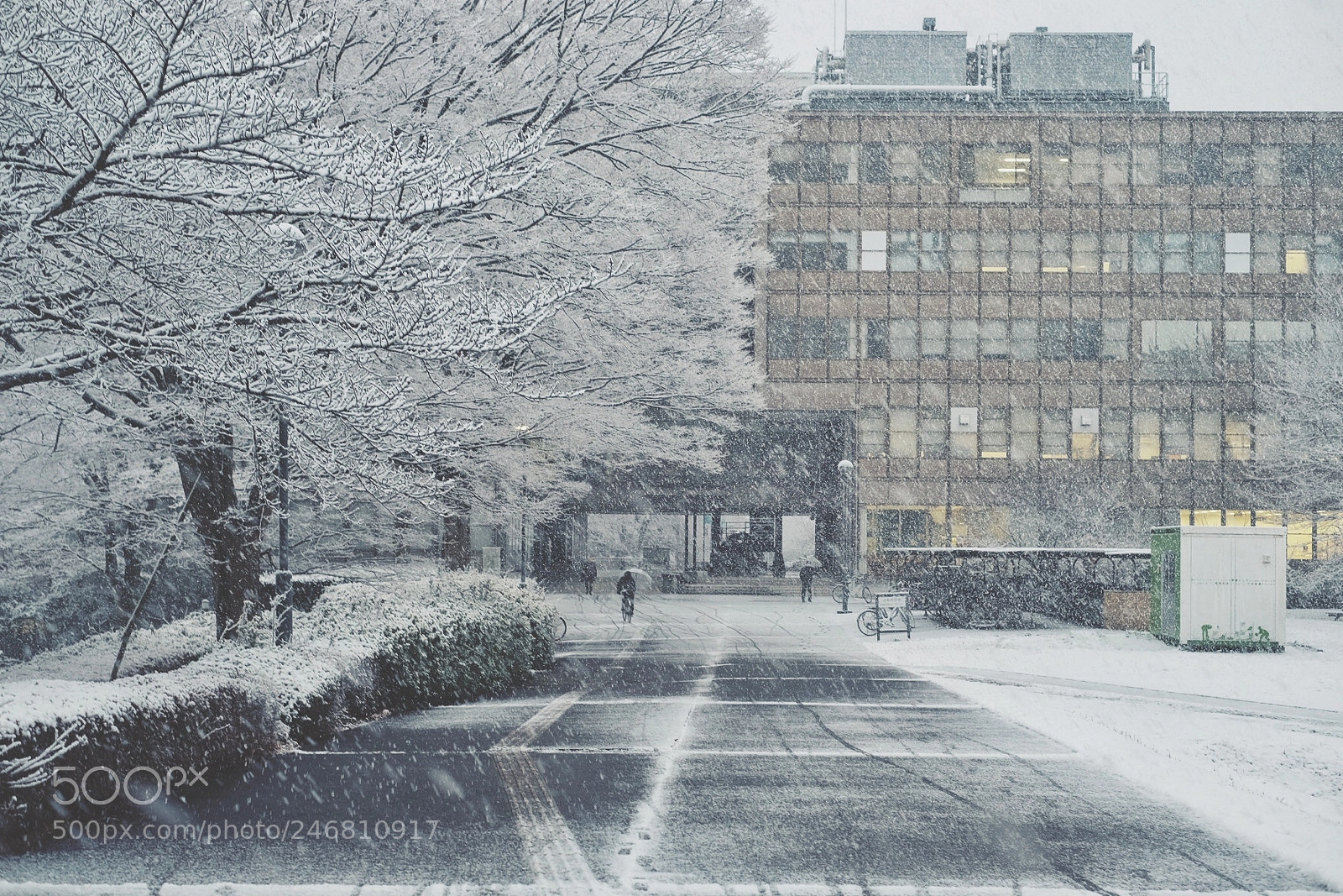 Fujifilm X-E2 sample photo. Snow in tsukuba photography