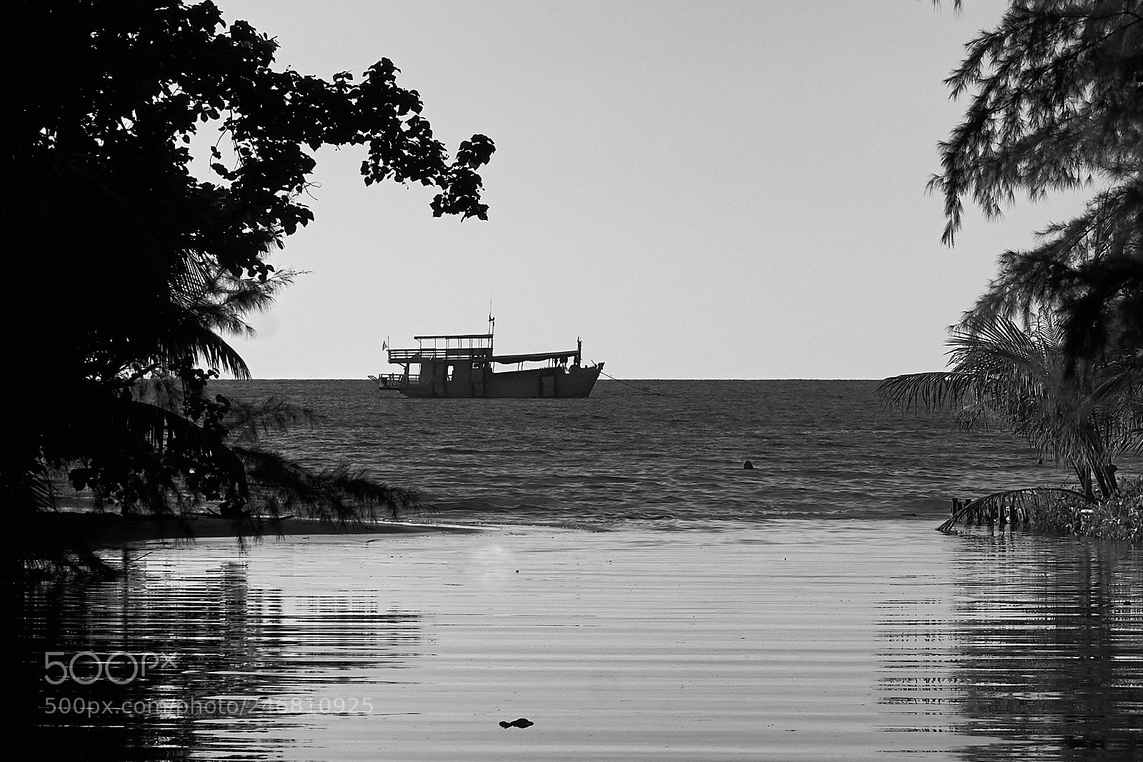 Sony a7 II sample photo. Dsc02477_2.jpg photography