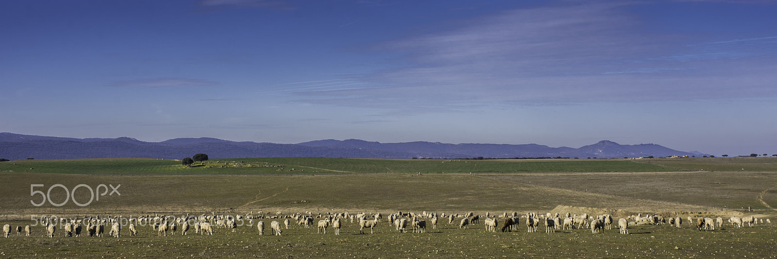 Nikon D7200 sample photo. Sierra de san pedro photography