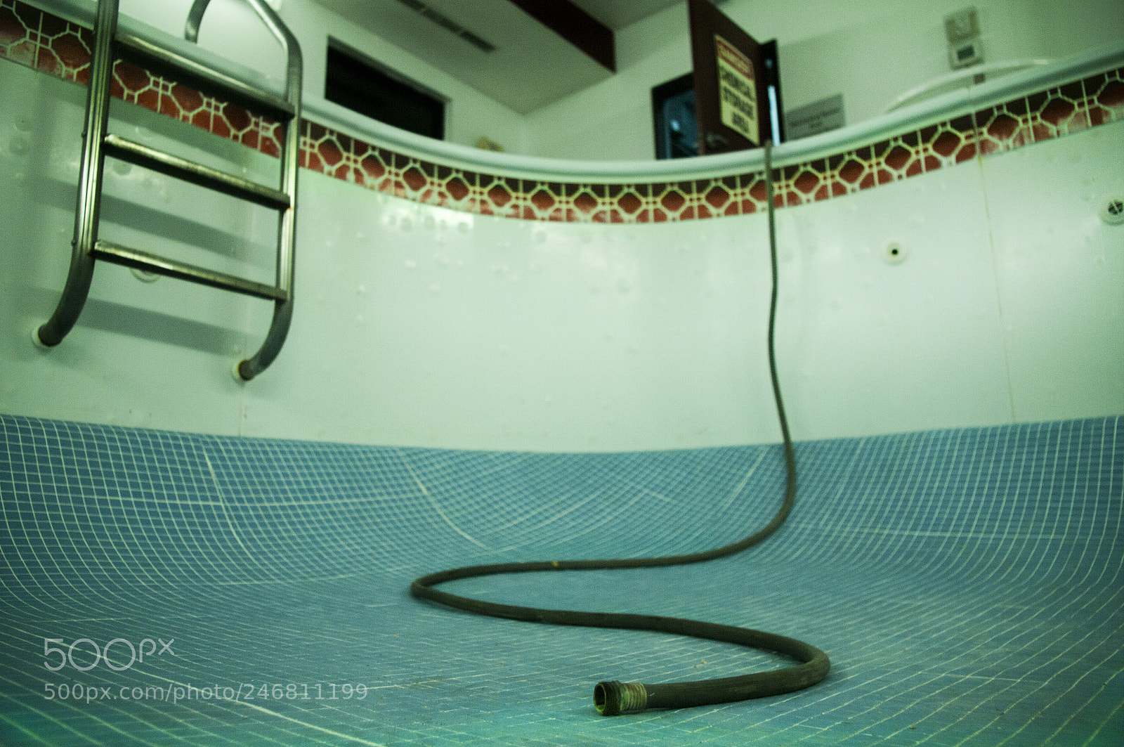 Pentax K-7 sample photo. Untitled photography