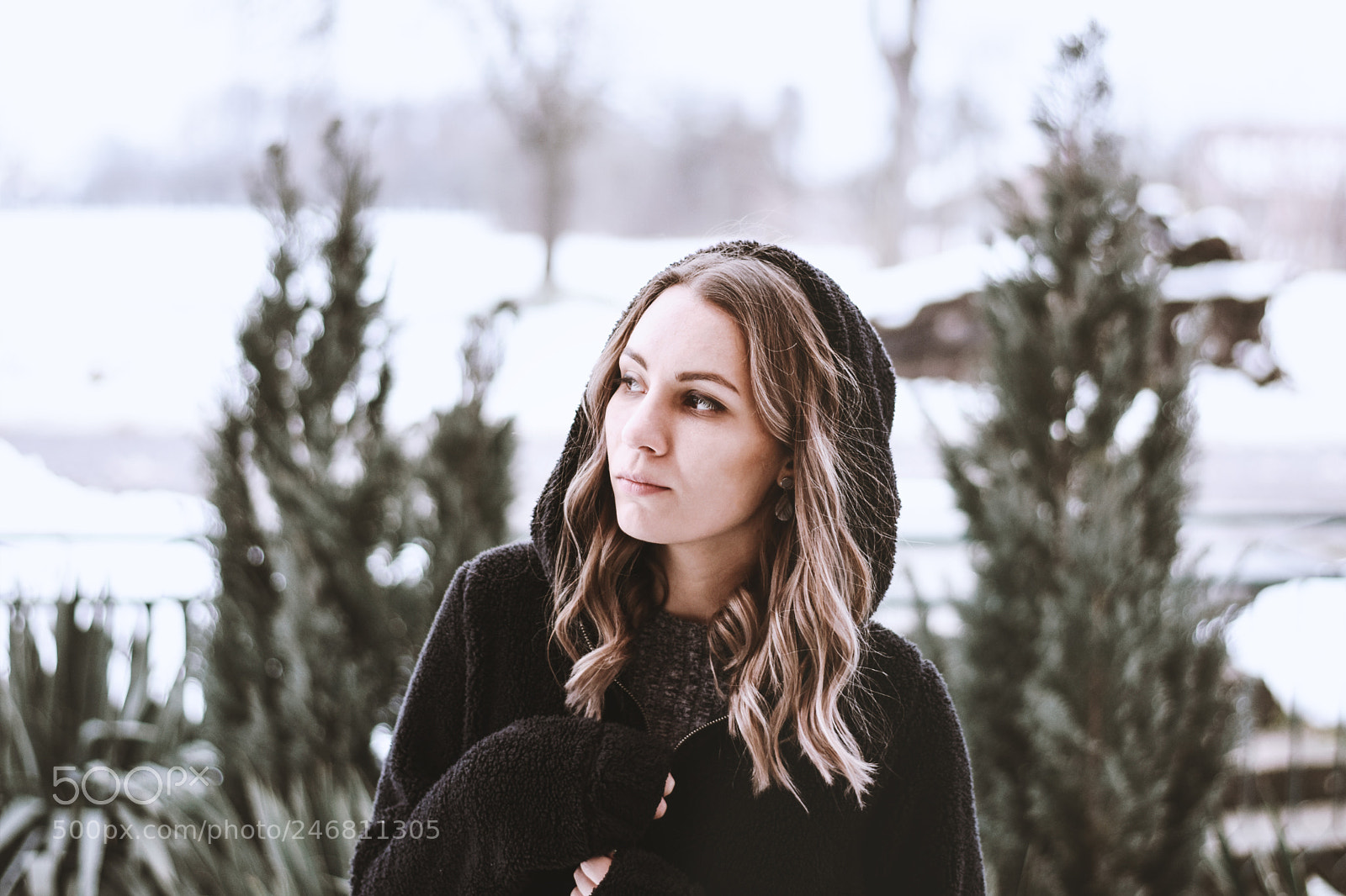 Nikon D7200 sample photo. Winter photography