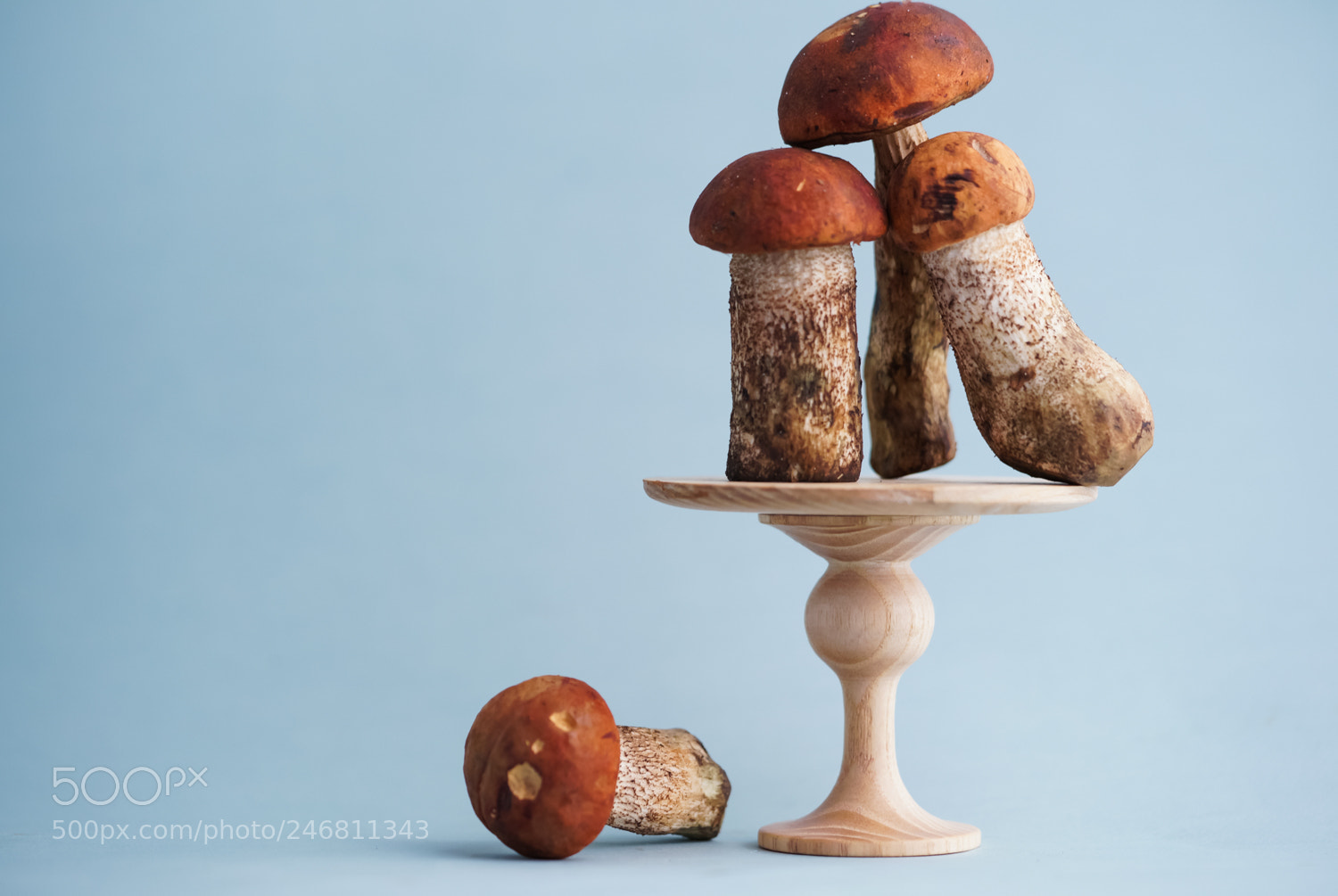 Sony a7 II sample photo. Mushrooms  photography