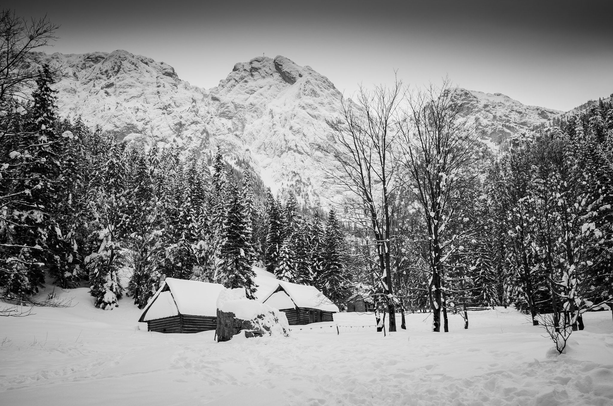 Leica X (Typ 113) sample photo. End of winter photography