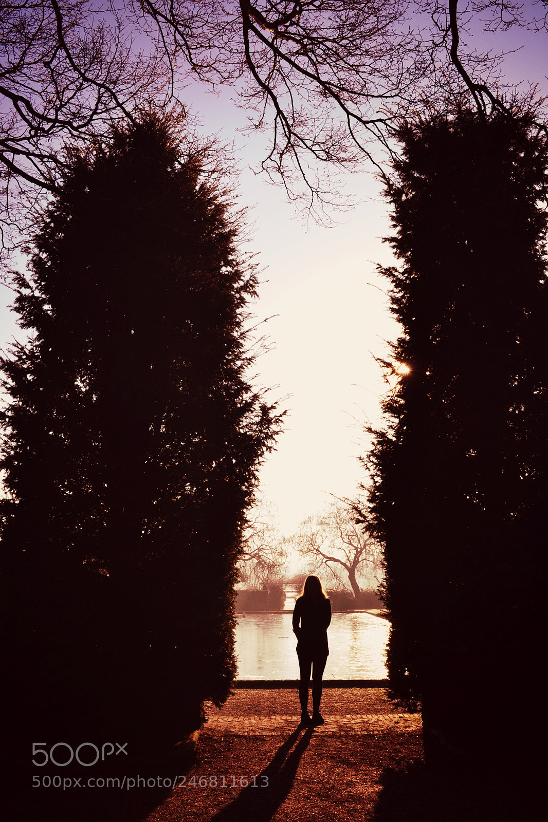 Nikon D3100 sample photo. Winter photography