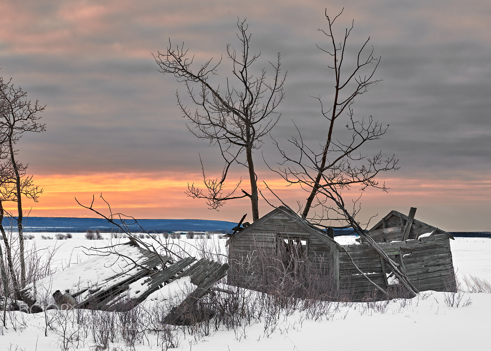 Nikon D850 sample photo. Roofless log cabin photography