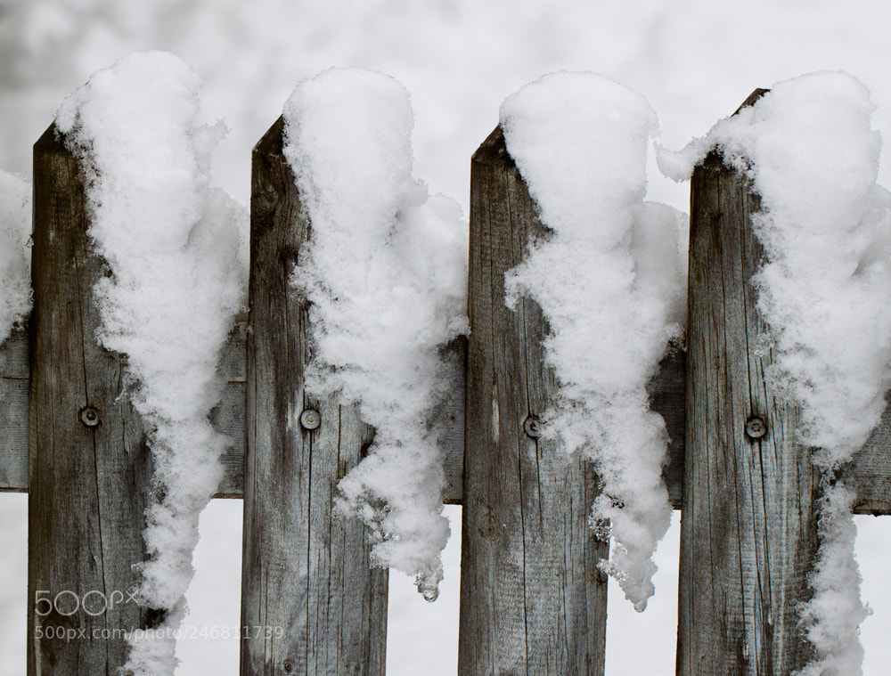 Canon EOS 500D (EOS Rebel T1i / EOS Kiss X3) sample photo. Wooden fence and ice photography