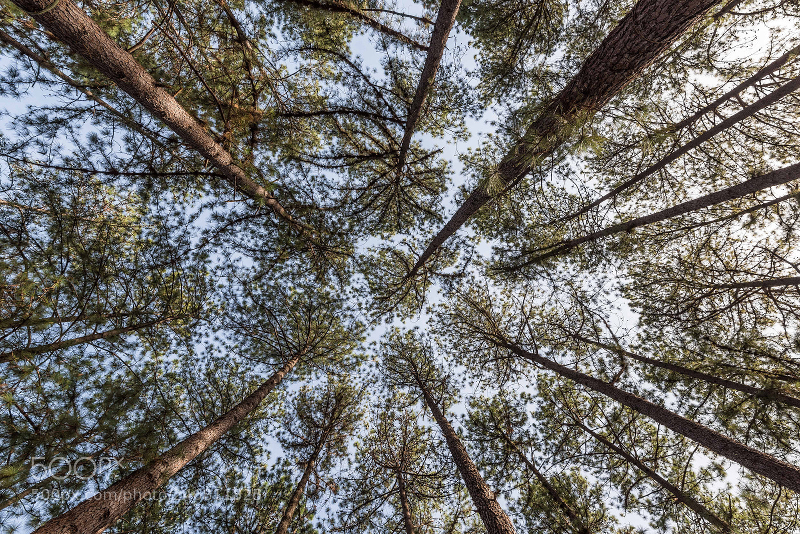 Nikon D810 sample photo. National park photography