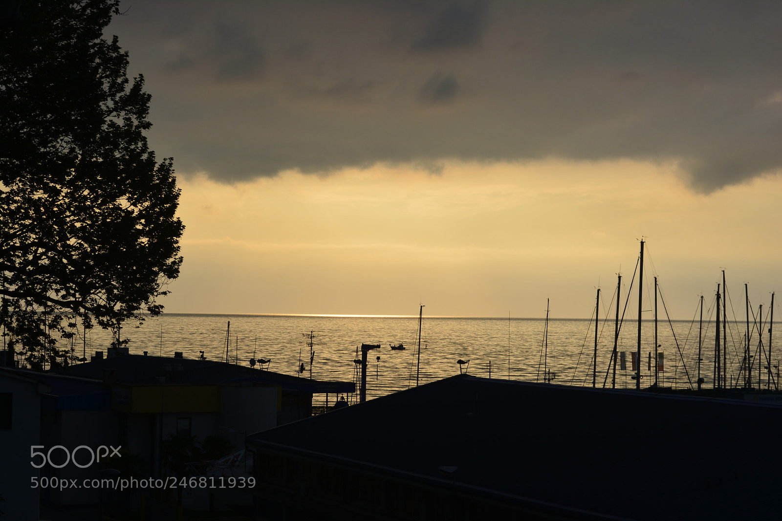 Nikon D5200 sample photo. The circle photography