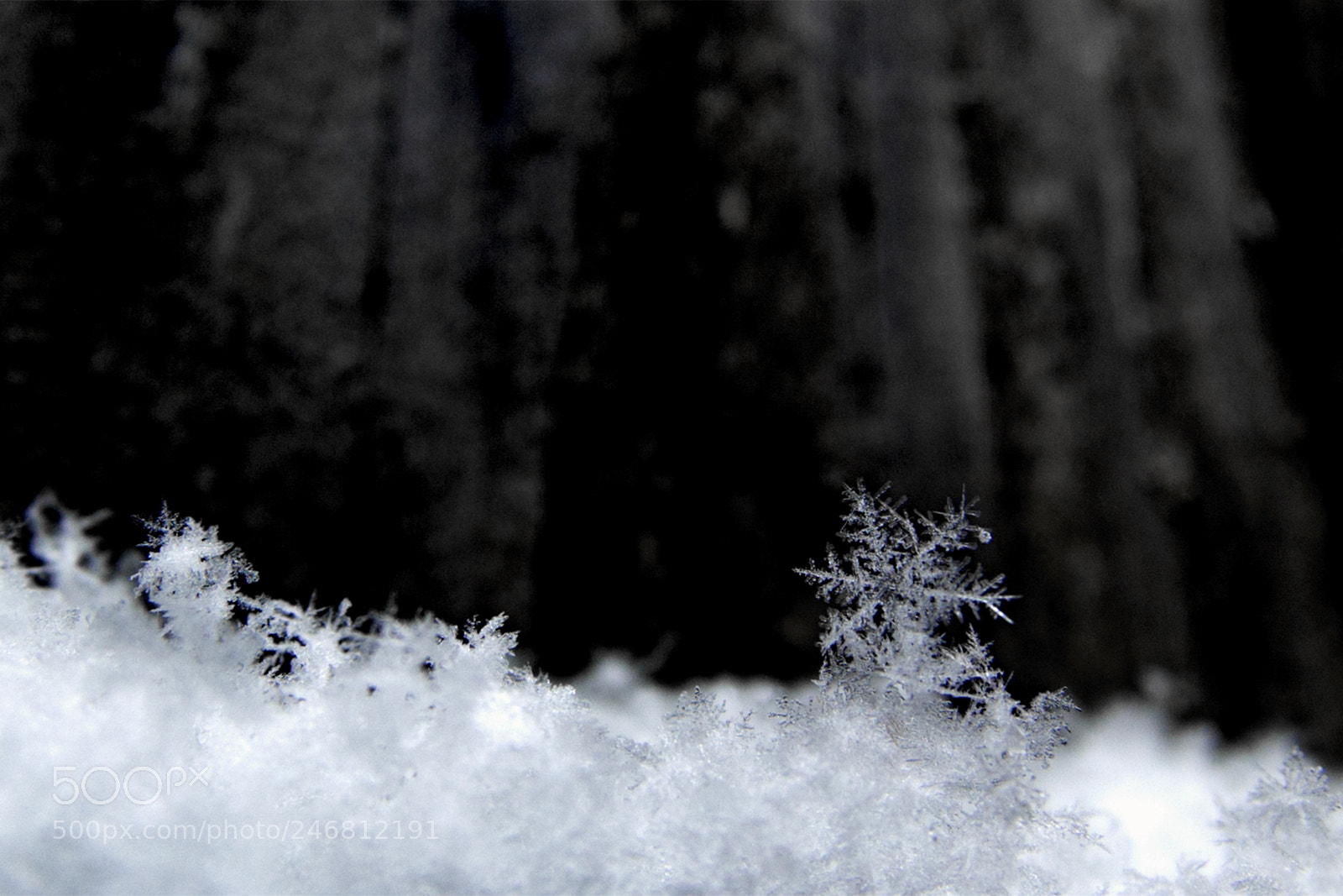 Nikon D7200 sample photo. Snow flakes photography