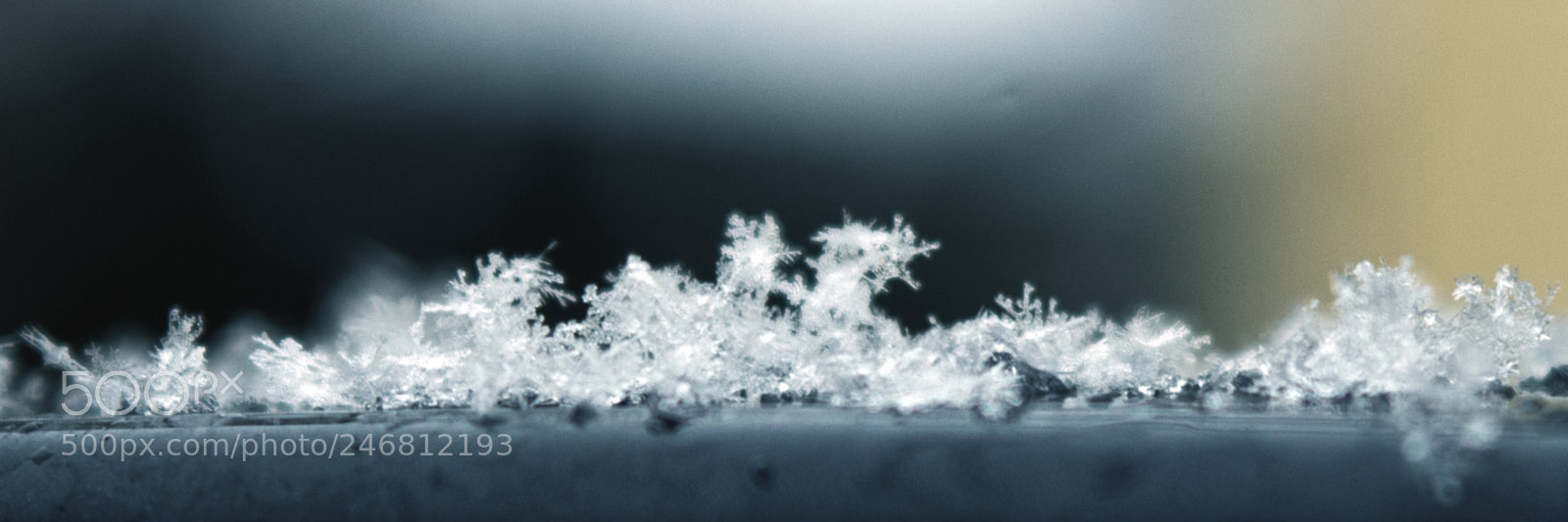 Nikon D7200 sample photo. Snow flakes photography