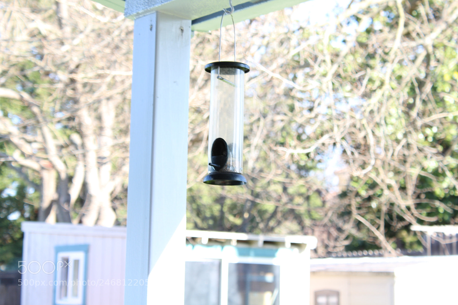 Canon EOS 1300D (EOS Rebel T6 / EOS Kiss X80) sample photo. Bird feeder photography