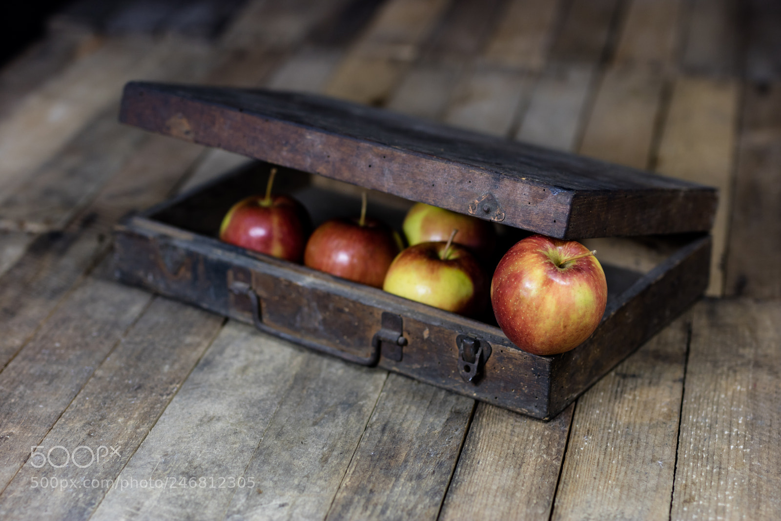 Canon EOS M3 sample photo. Apples in a dark photography