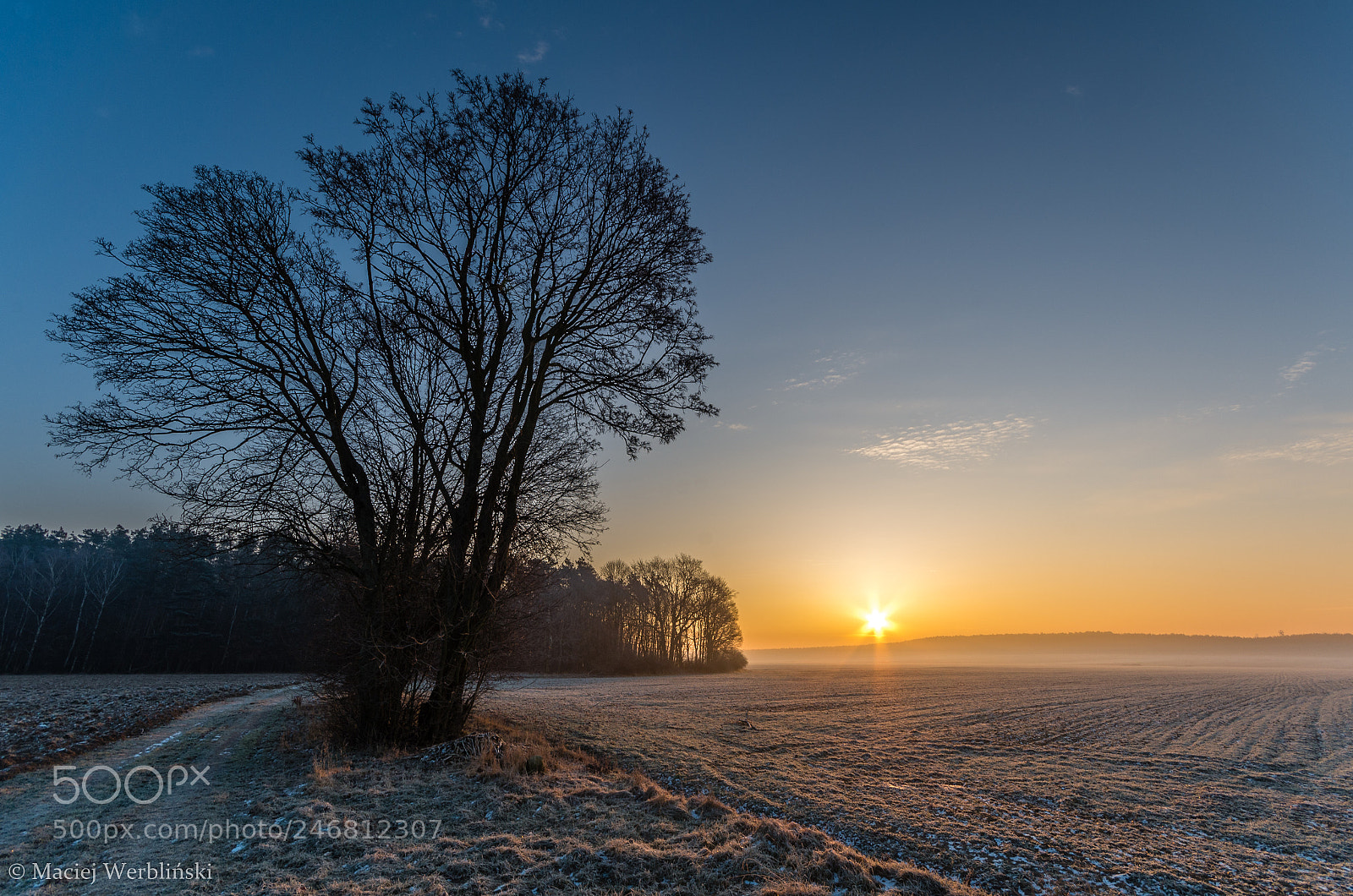 Pentax K-50 sample photo. Frosty morning photography