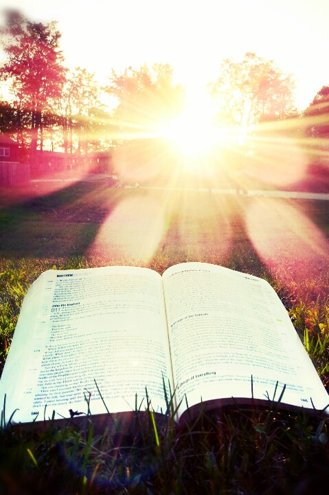 The Sun and The Word