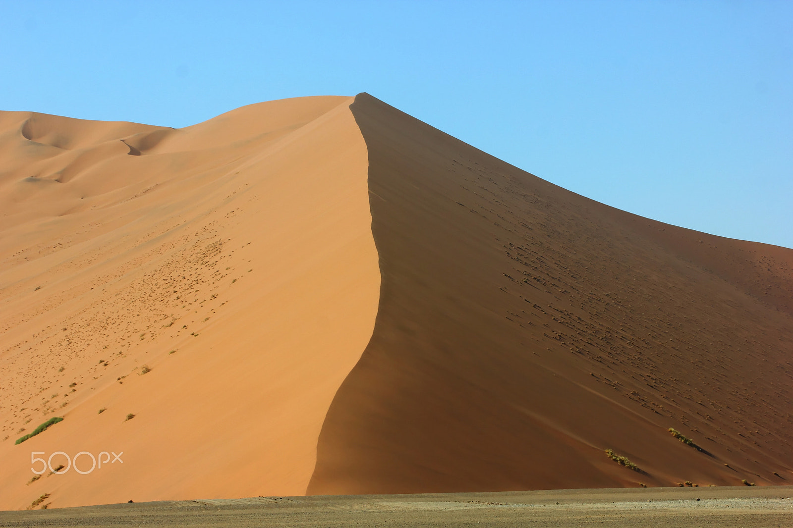 Canon EOS 550D (EOS Rebel T2i / EOS Kiss X4) sample photo. Dunes massive photography