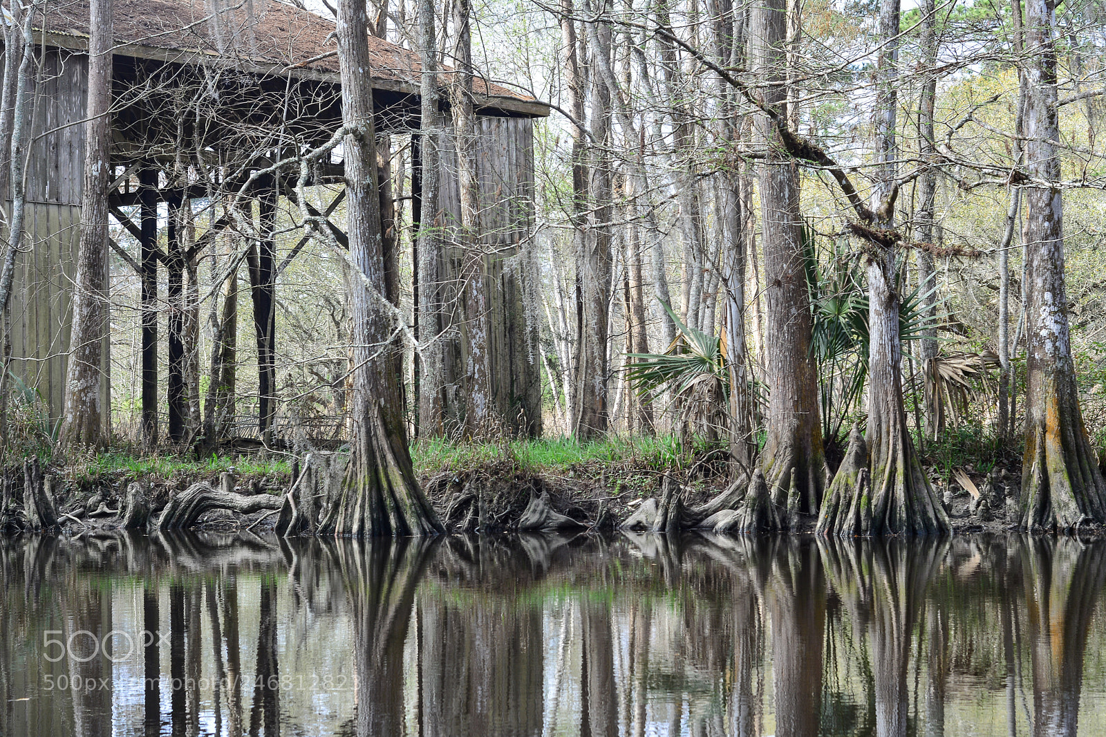 Nikon D7100 sample photo. Barn and cypress photography