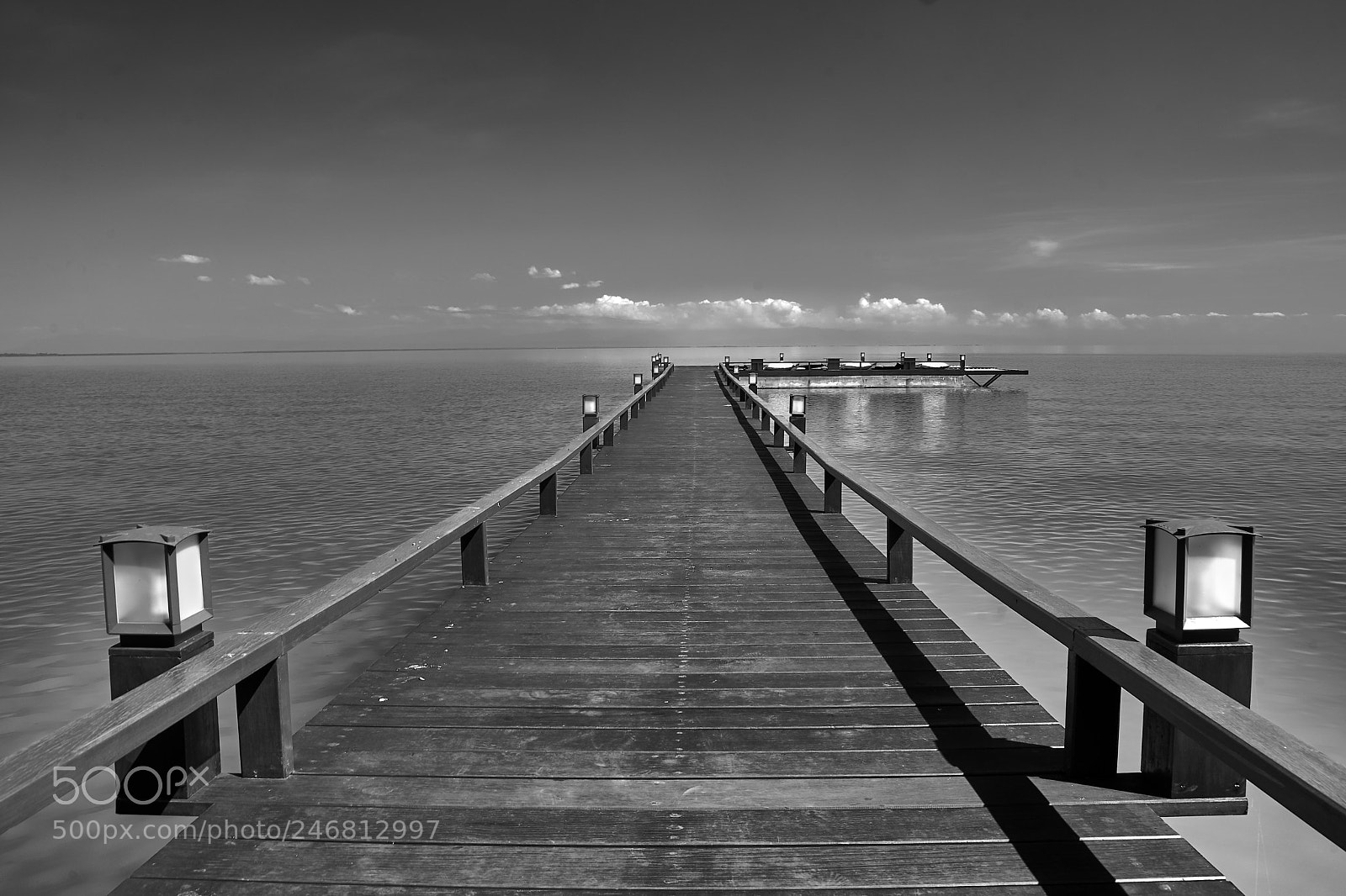 Sony a7 II sample photo. Dsc02226_5.jpg photography