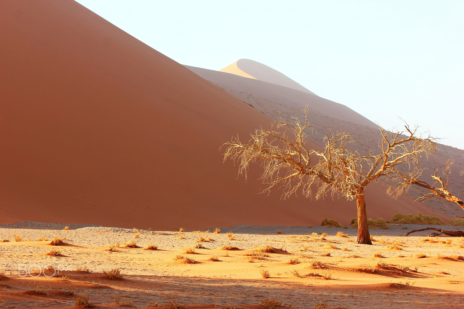 Canon EOS 550D (EOS Rebel T2i / EOS Kiss X4) sample photo. Dunes morning light photography