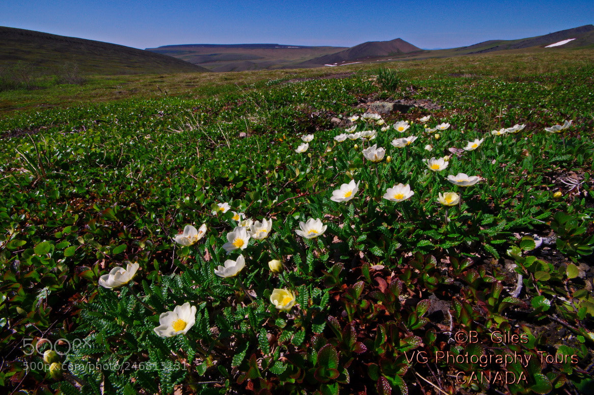 Pentax K-7 sample photo. Yukon vista photography
