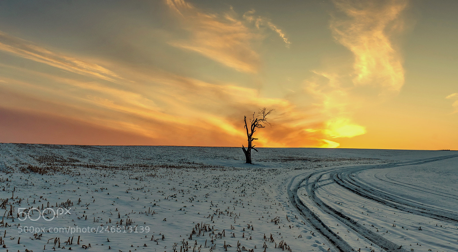 Sony a7 II sample photo. Lonely photography