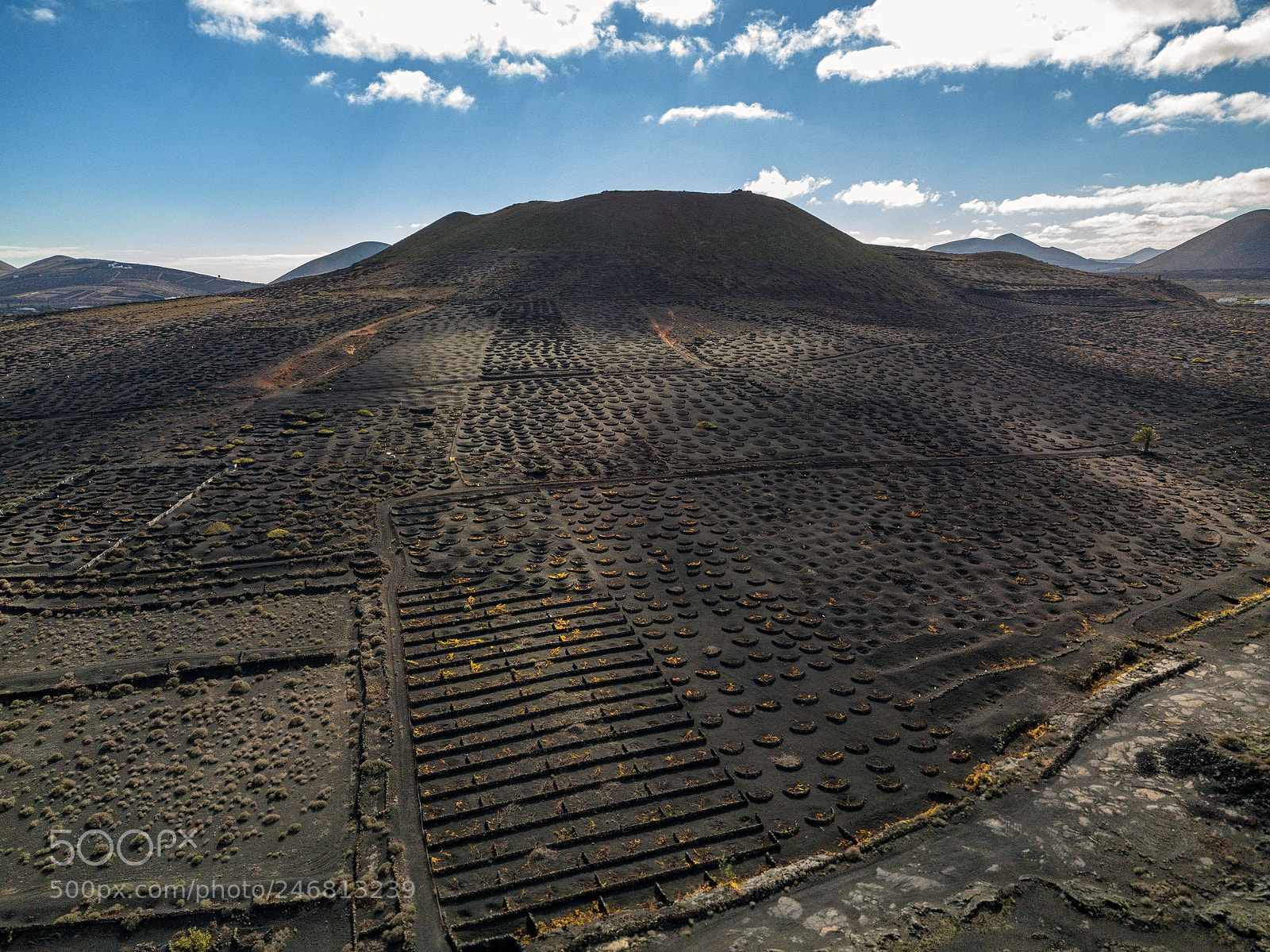 DJI FC220 sample photo. Lanzarote vineyard photography