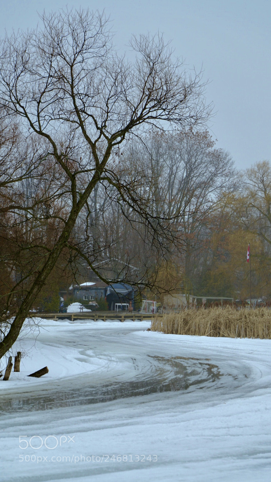 Sony a7R II sample photo. Early spring of river photography