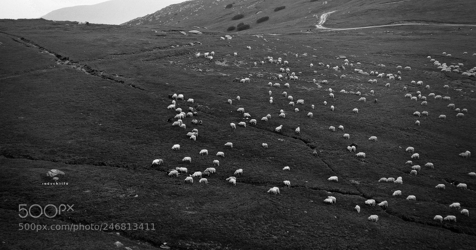Nikon D5100 sample photo. Pasture / mountain photography