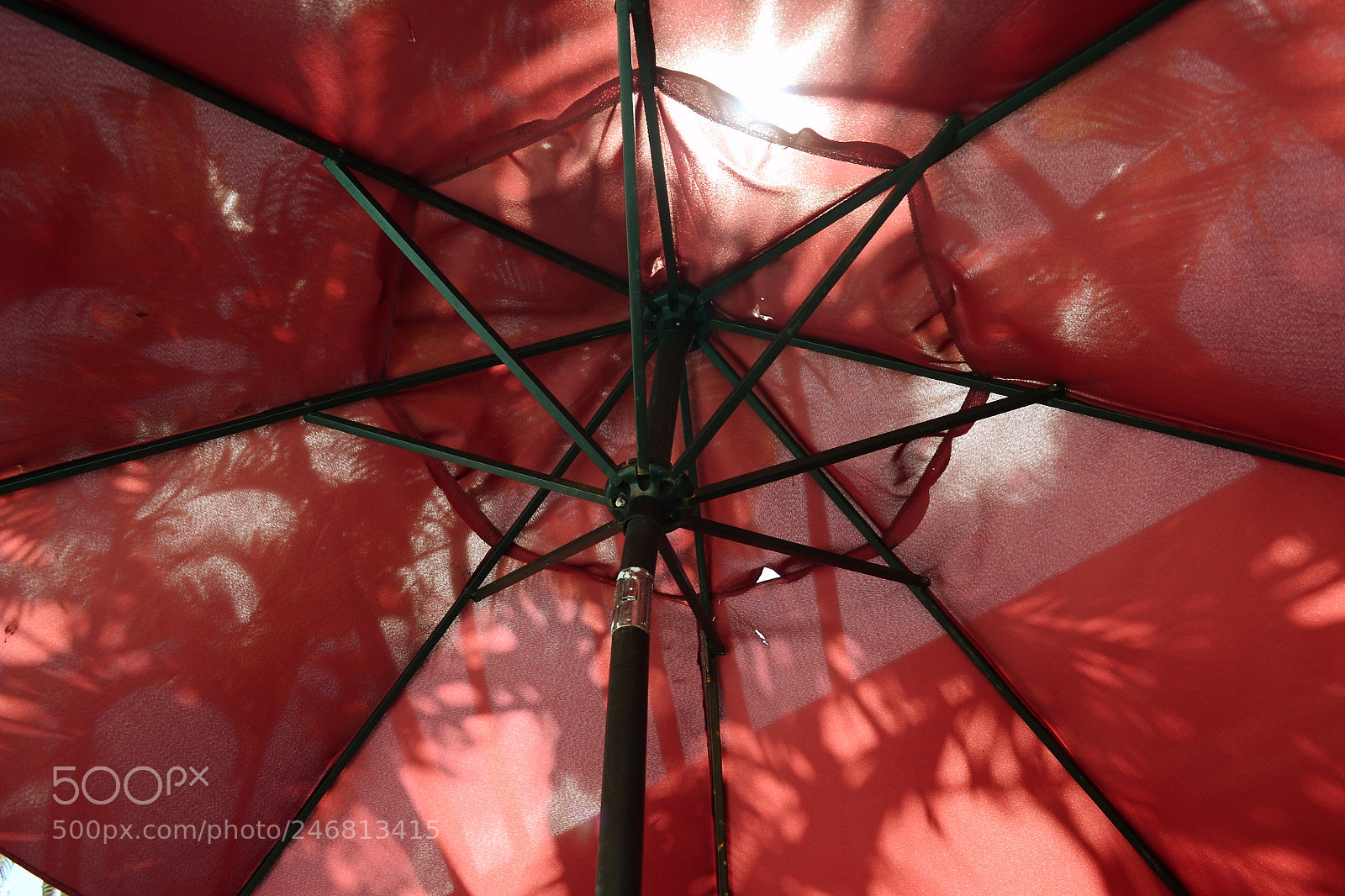 Nikon D3100 sample photo. Untitled photography