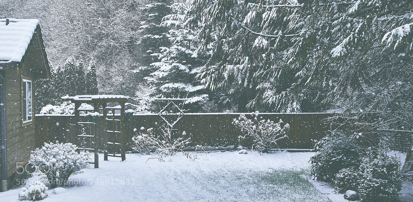 Canon EOS 7D Mark II sample photo. Nice snowy day photography