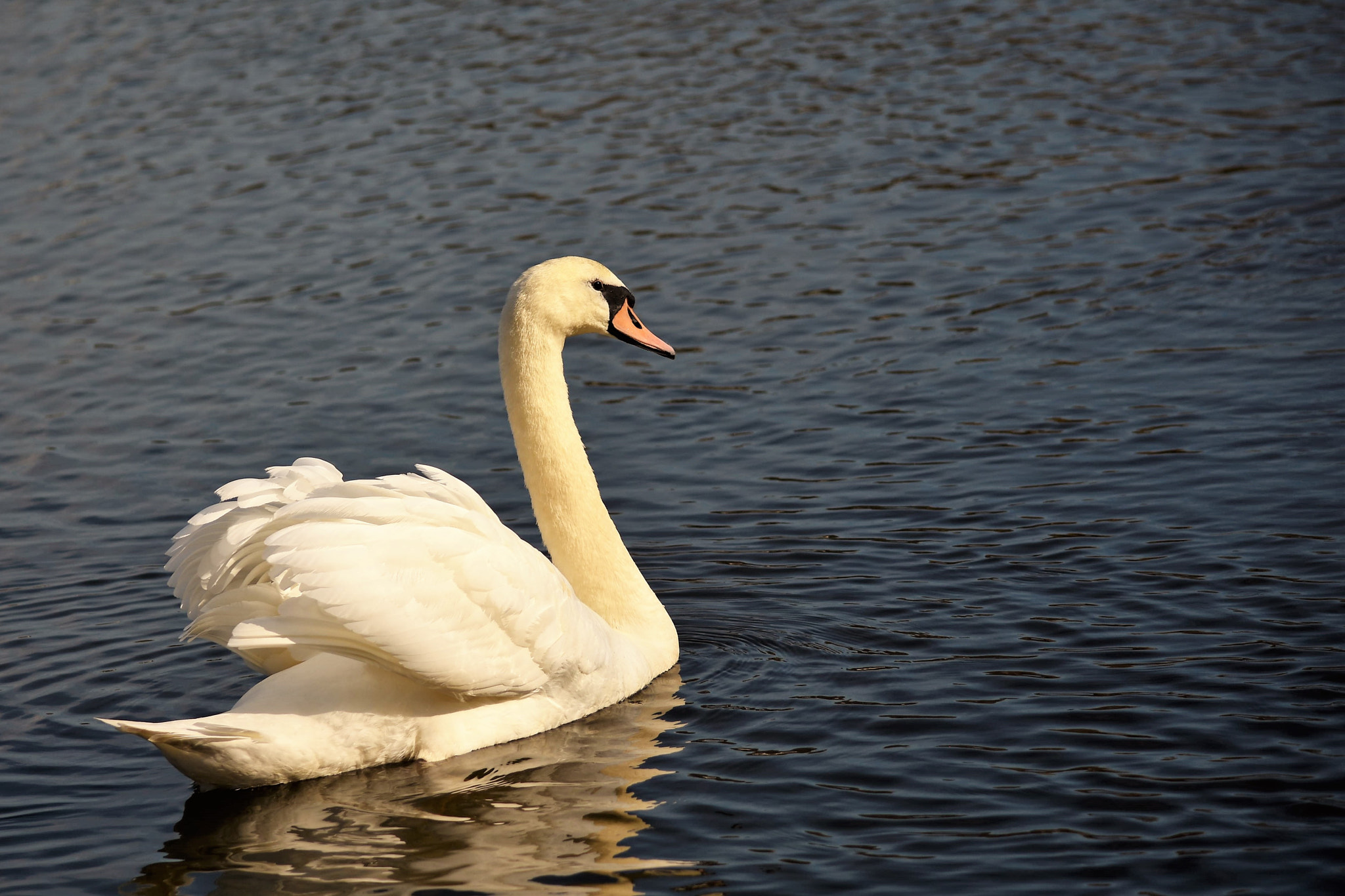 Nikon D7200 sample photo