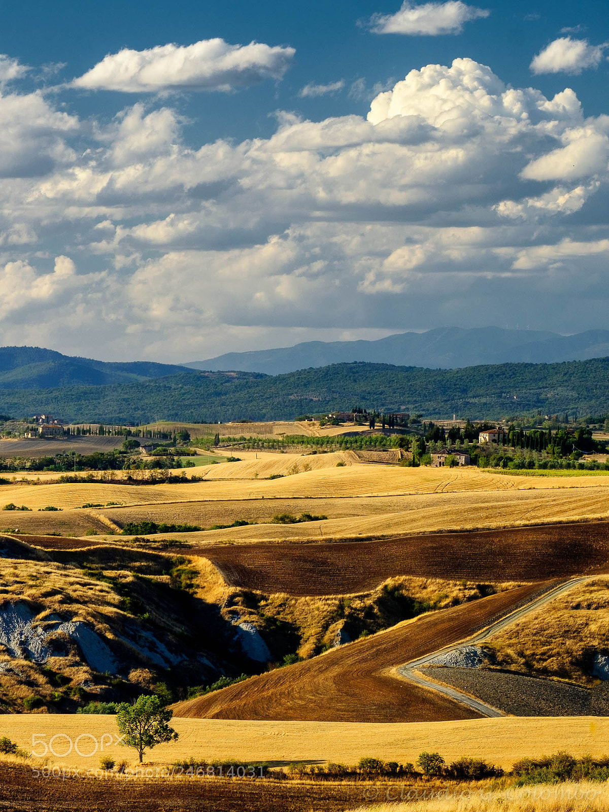 Fujifilm X-T20 sample photo. Summer landscape near asciano photography