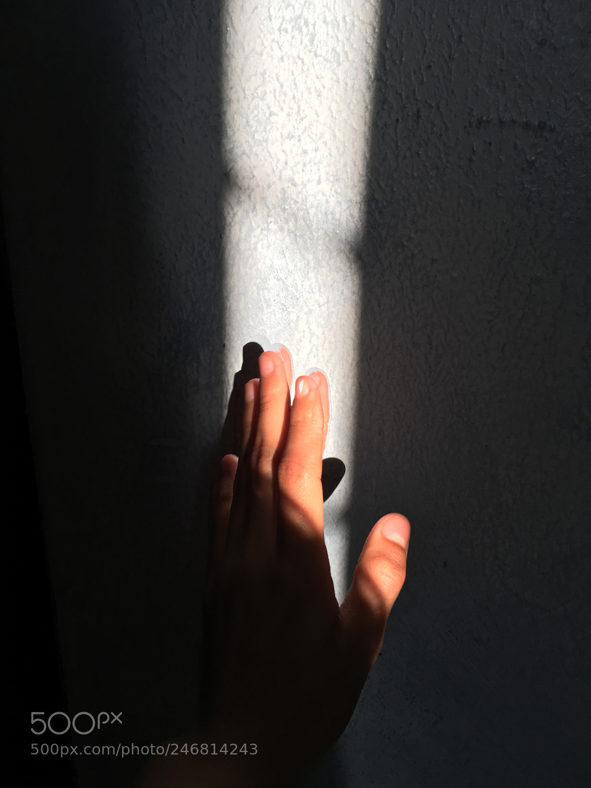 Apple iPhone SE sample photo. #hands photography
