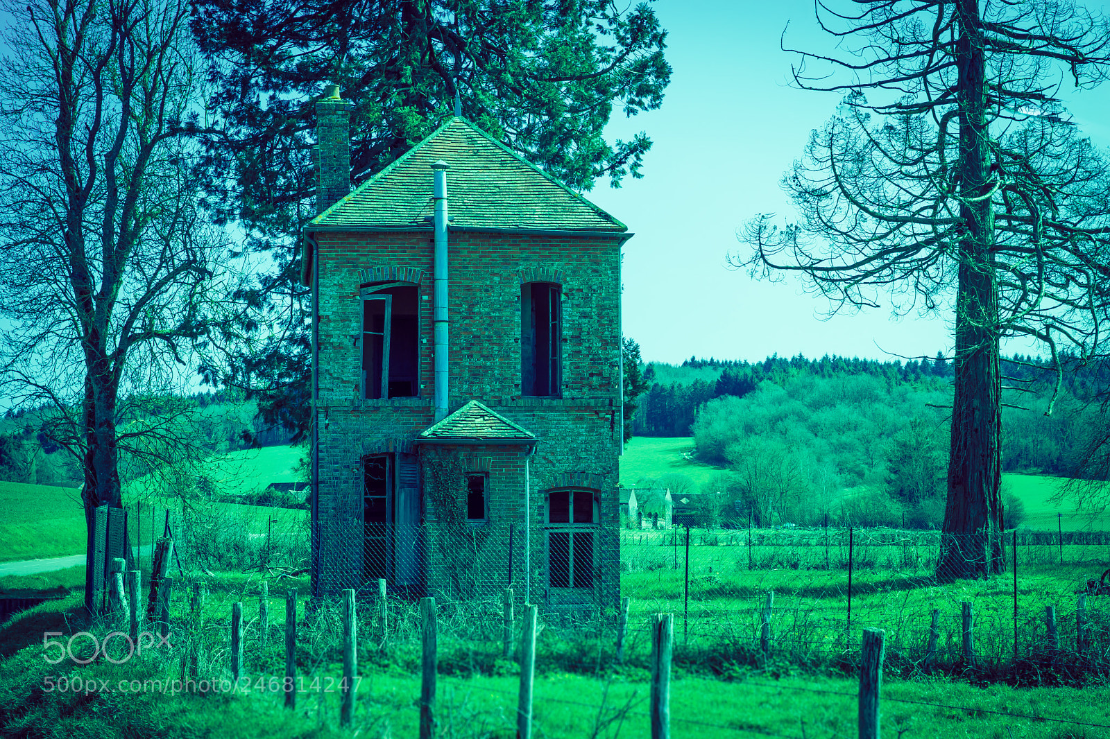 Sony ILCA-77M2 sample photo. The return, the lost photography