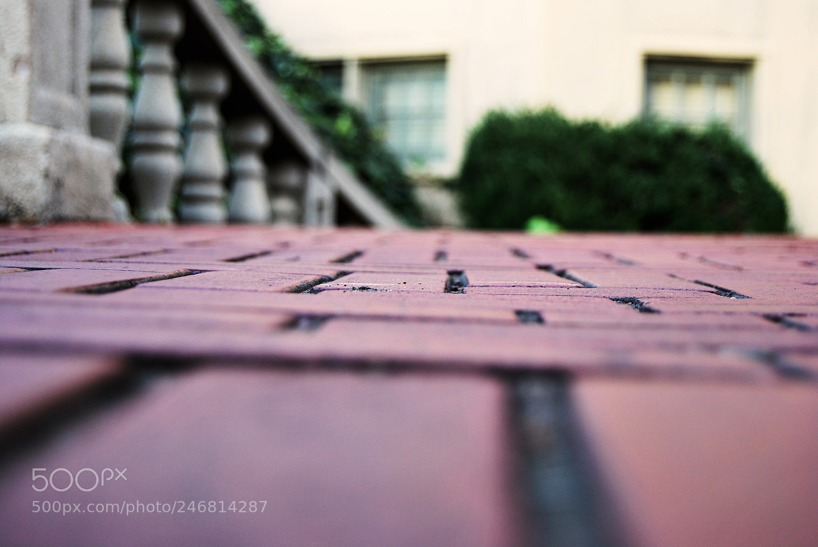 Nikon D60 sample photo. The brick floor photography