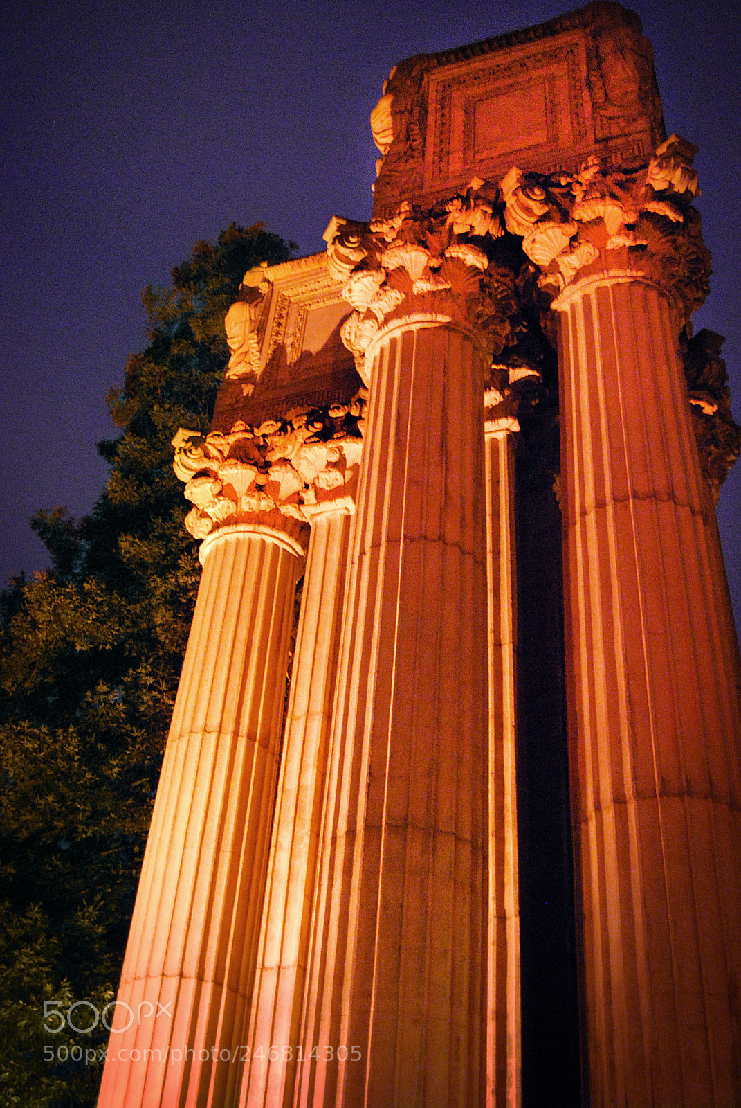 Nikon D60 sample photo. Palace of fine arts photography