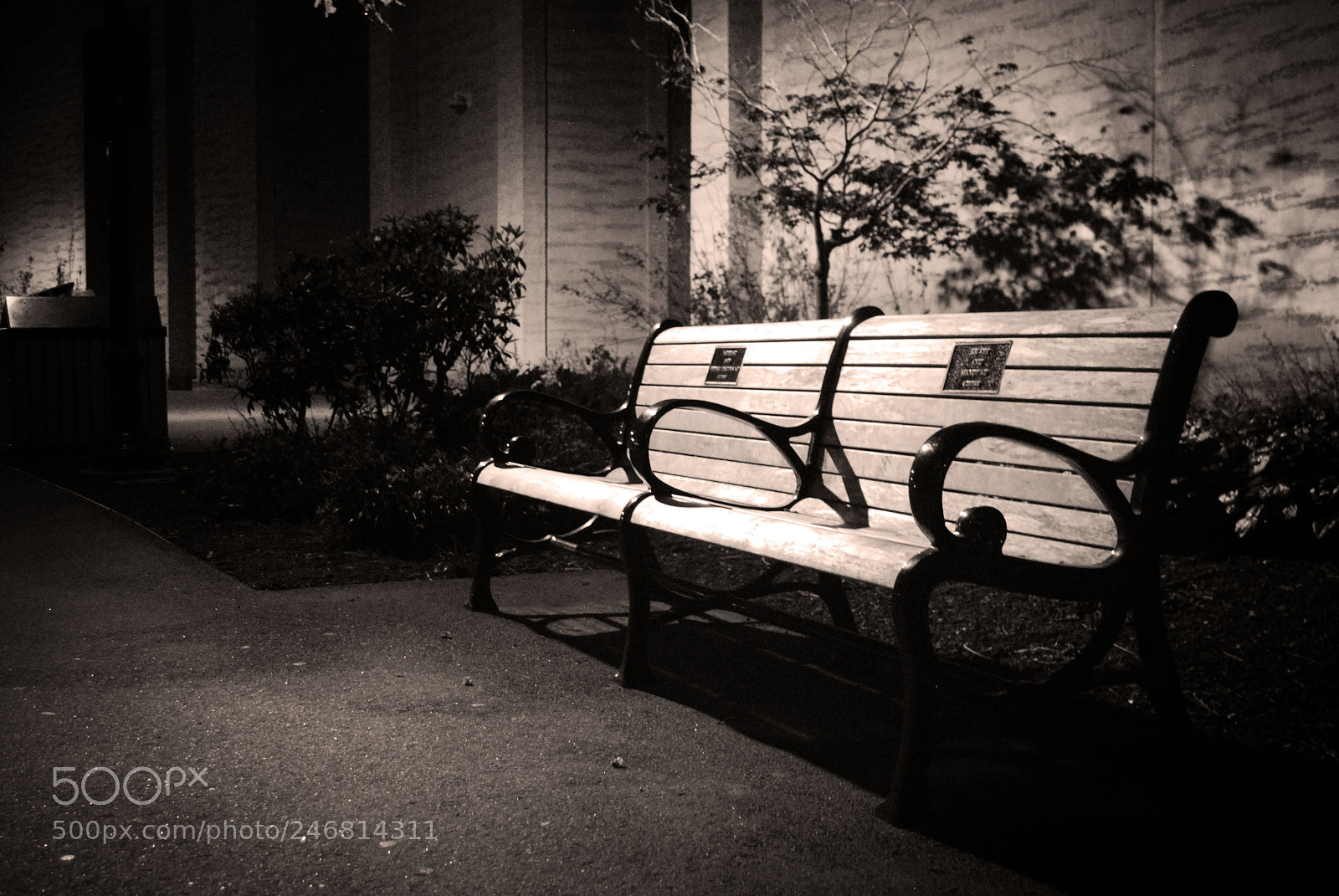 Nikon D60 sample photo. The bench photography