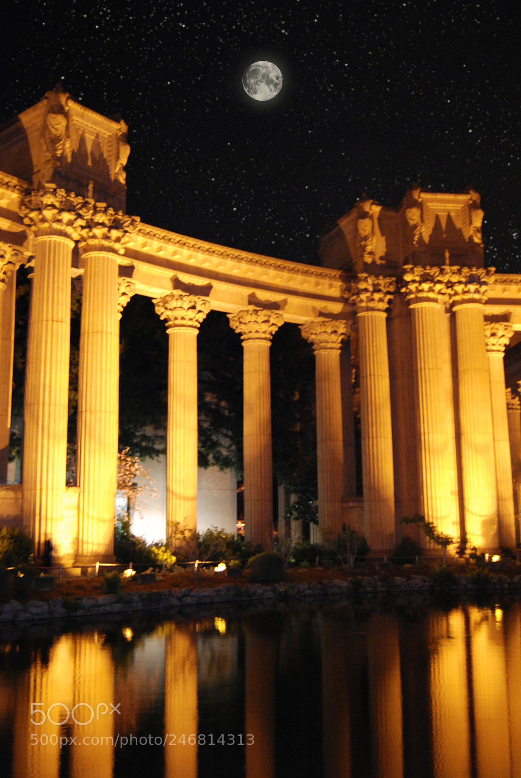 Nikon D60 sample photo. Palace of fine arts photography