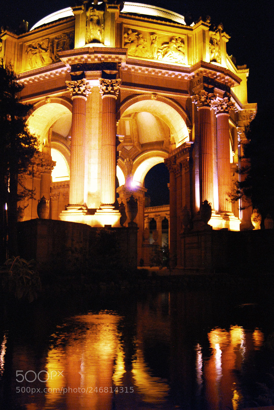 Nikon D60 sample photo. Palace of fine arts photography