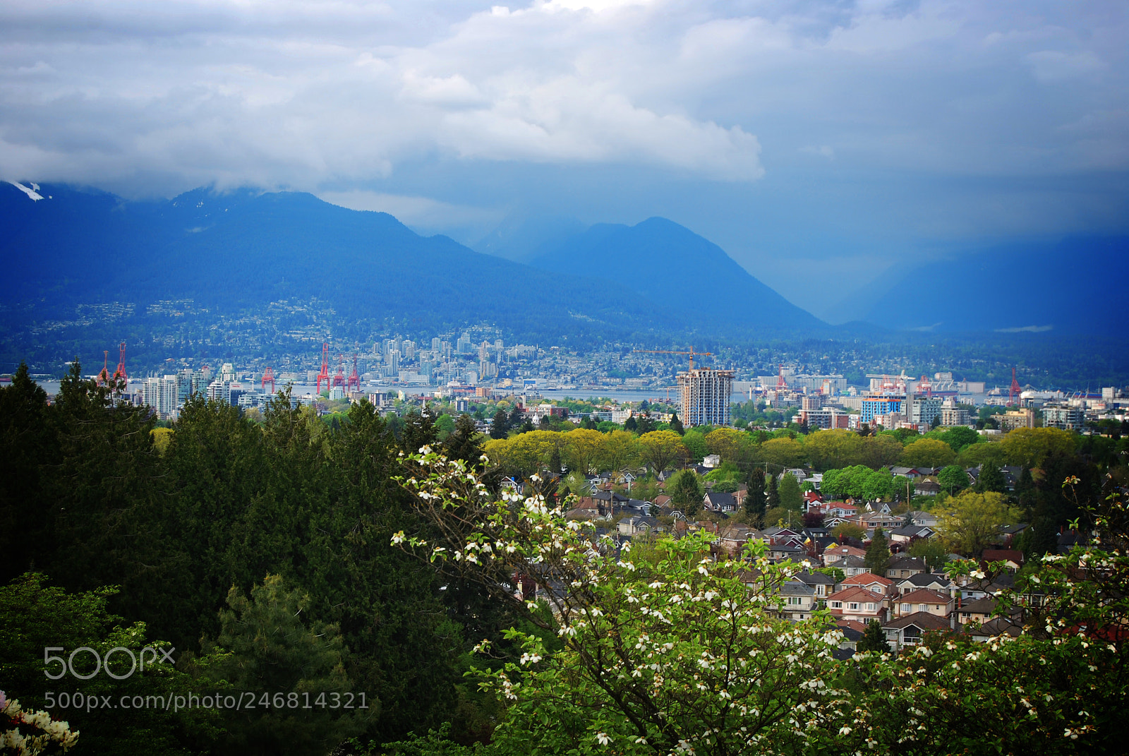Nikon D60 sample photo. Vancouver, bc, canada photography