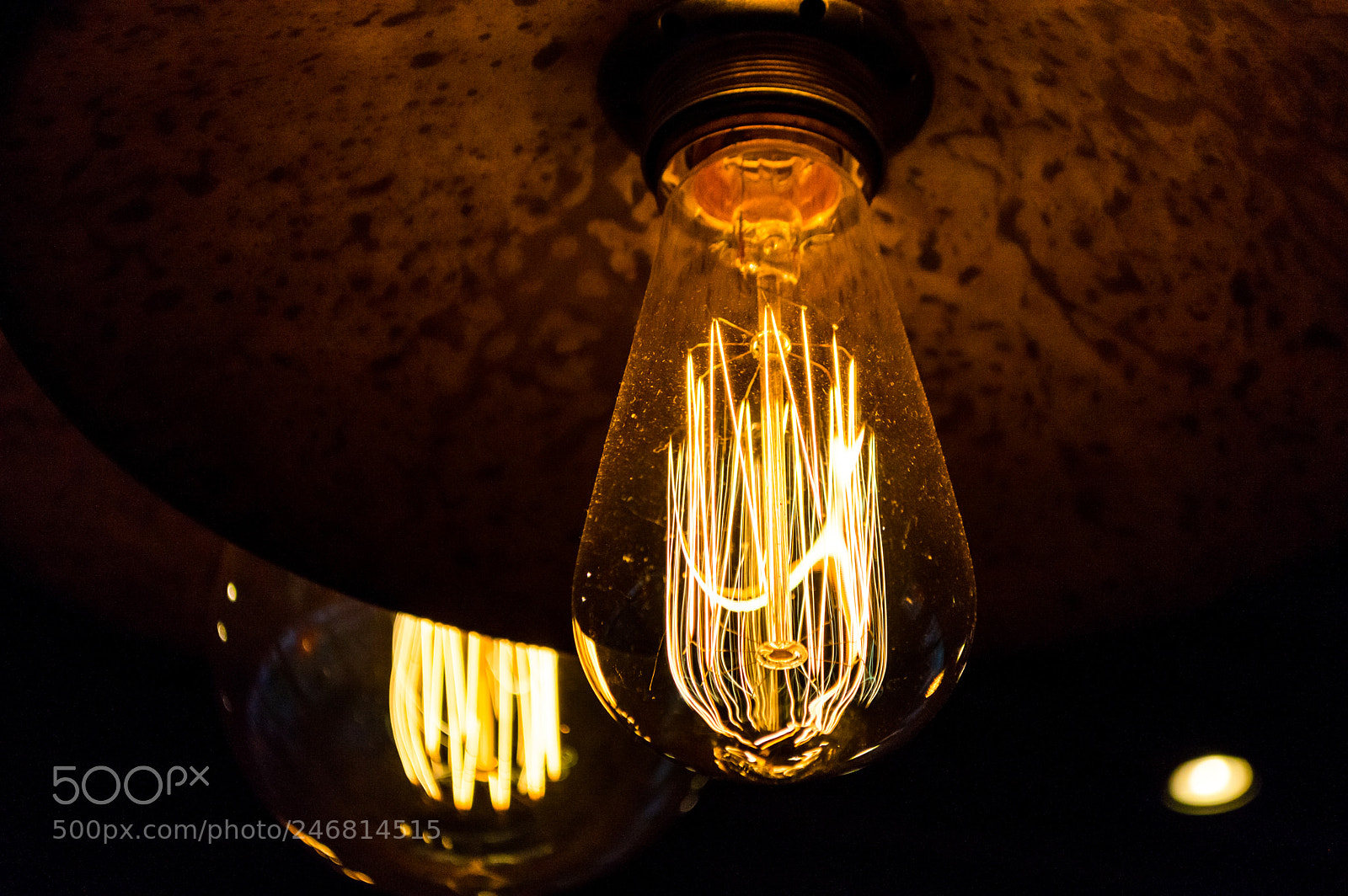 Nikon D3200 sample photo. Close up capture on photography