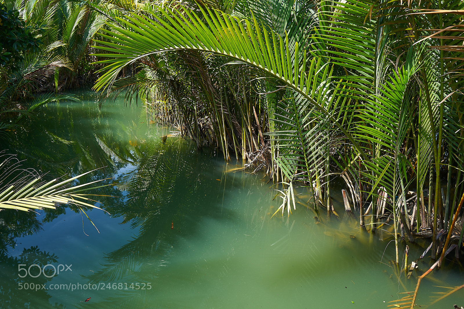 Sony a7 II sample photo. Dsc photography