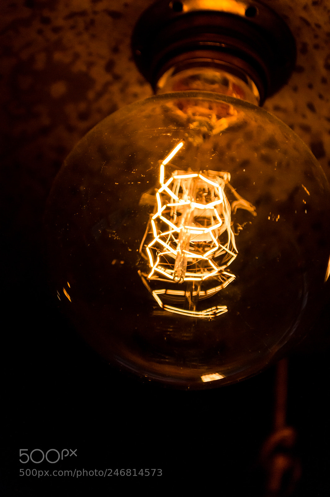 Nikon D3200 sample photo. Close up capture on photography