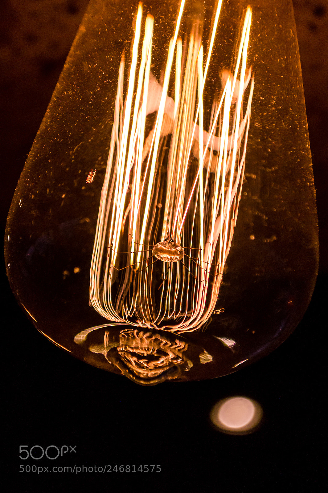Nikon D3200 sample photo. Close up capture on photography