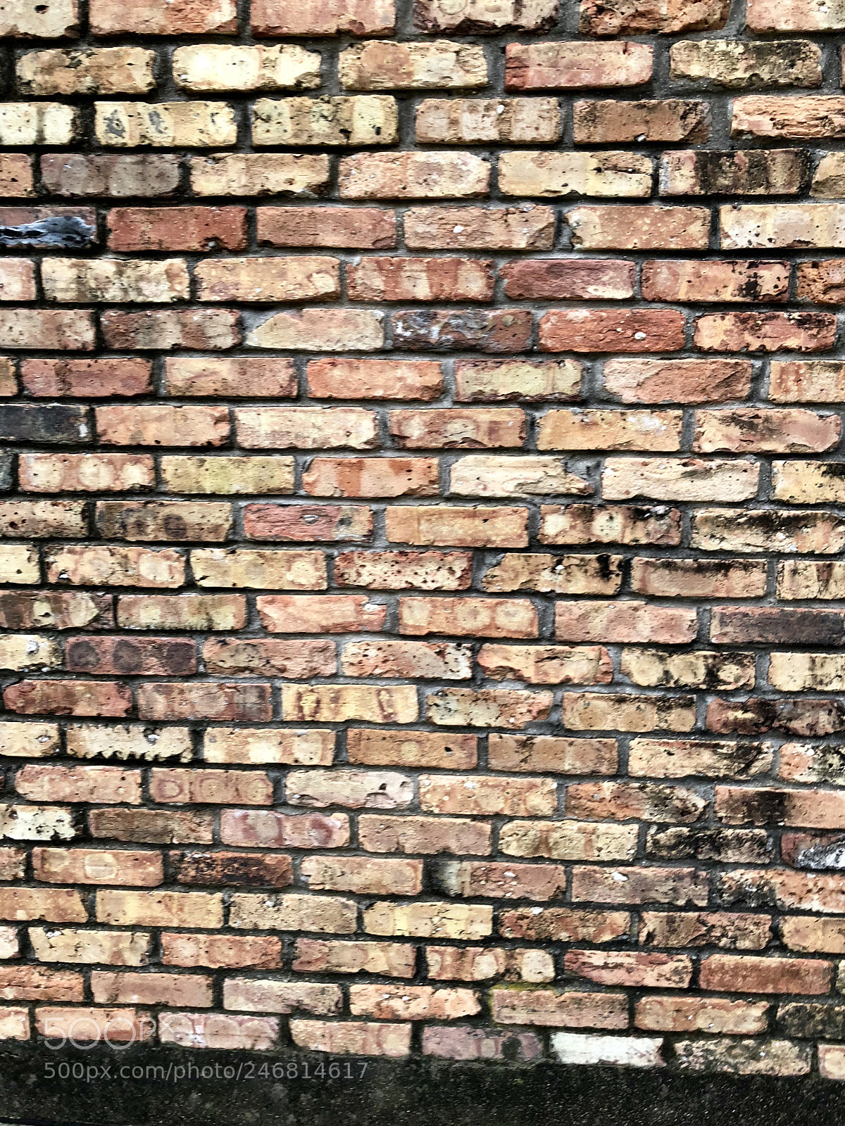 Apple iPhone X sample photo. Untitled photography