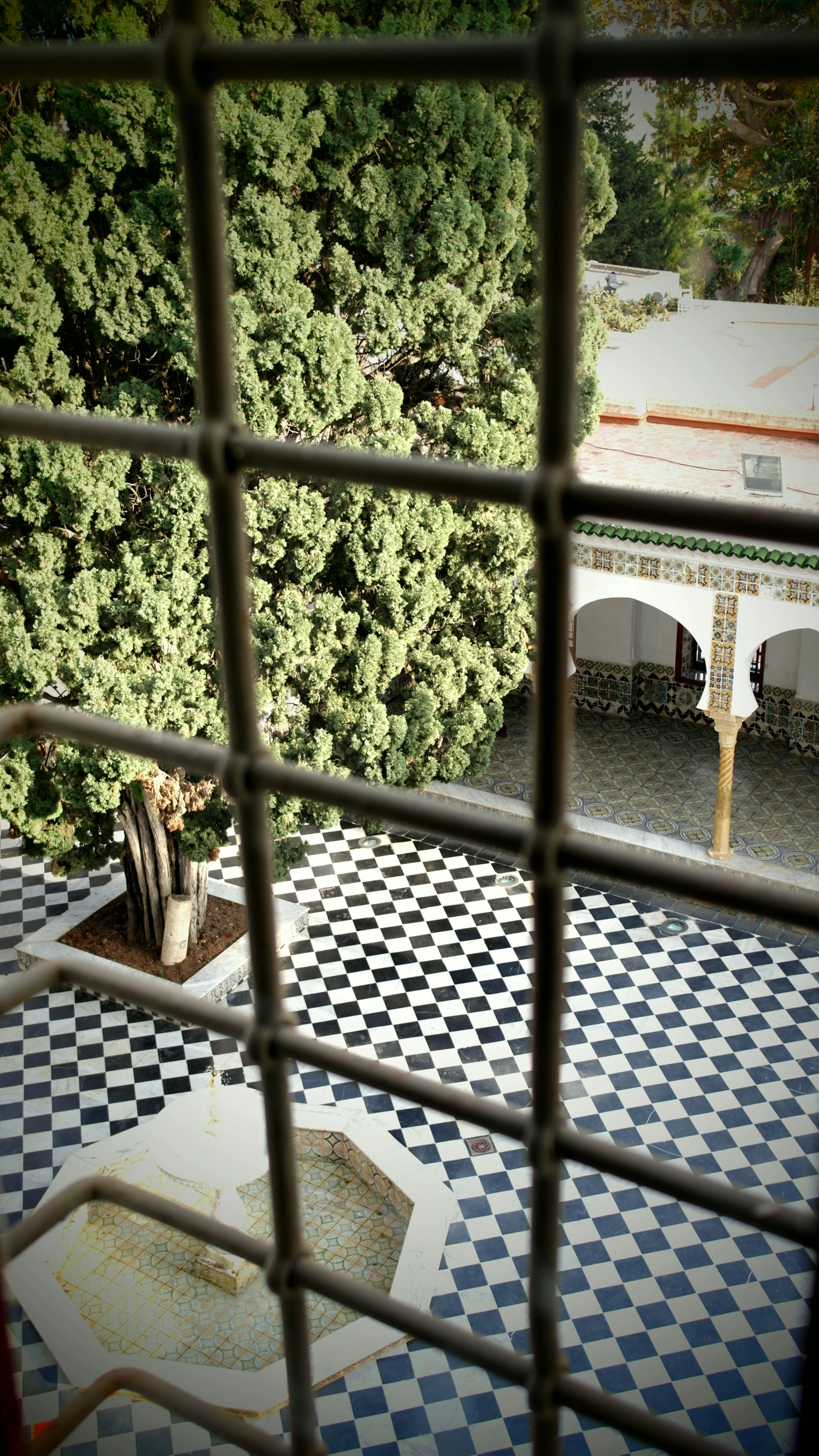 Samsung NX1000 sample photo. Bardo photography