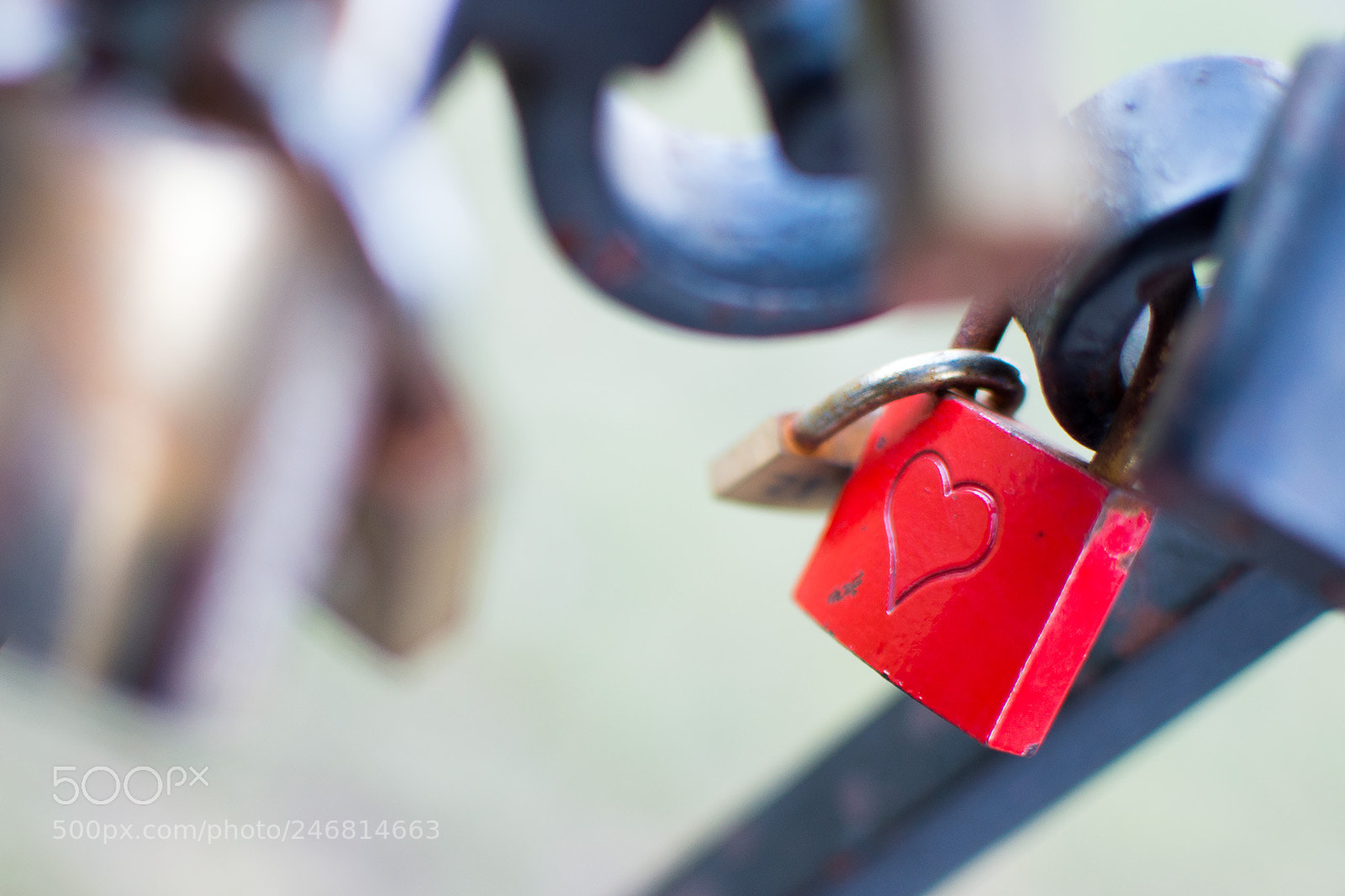 Nikon D3200 sample photo. Padlock photography